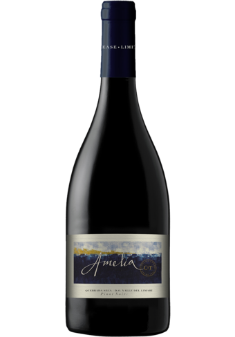 Amelia Quebrada Seca Vineyard Pinot Noir 2017 -BP_377425