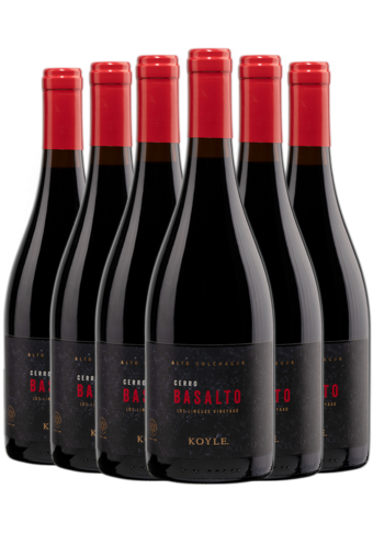 Koyle Cerro Basalto 2020 6-pack-BP_113937