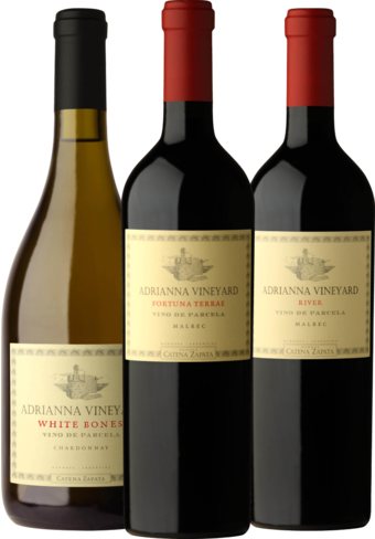 Catena Zapata Adrianna Vineyard 100 point Collection (18 Bone/16 River/12 Fortuna Terrae)-BP_113986