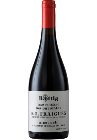 Baettig Pinot Noir Los Parientes D.O. Traiguen 2022-113981