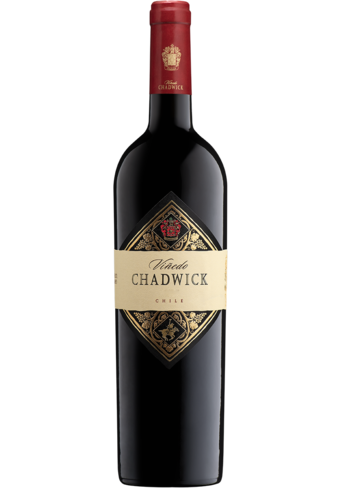 Vinedo Chadwick Vintage 2009 (2024 Release)-BP_326984