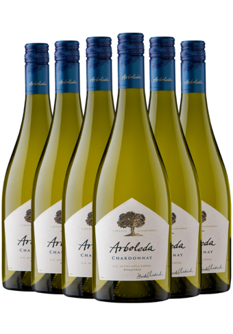 Arboleda Chardonnay 2022 6-Pack-BP_145517
