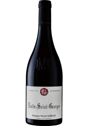 Michel Noellat Nuits Saint Georges 2021 -BP_127267