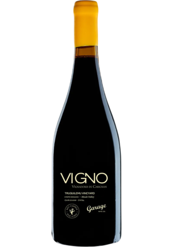 Garage Wine Co. Vigno Dry-farmed Old Vines Carignan 2019-124695