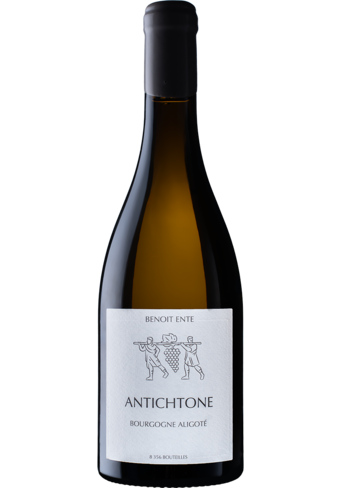Benoit Ente Bourgogne Aligote Antichtone 2022-394578