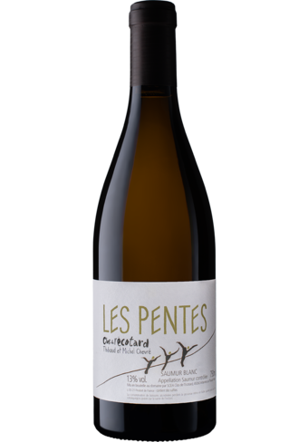 Clos de l'Ecotard Les Pentes Saumur Blanc 2021-BP_148126
