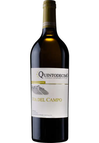 Quintodecimo Via del Campo Falanghina Irpinia 2022-115806