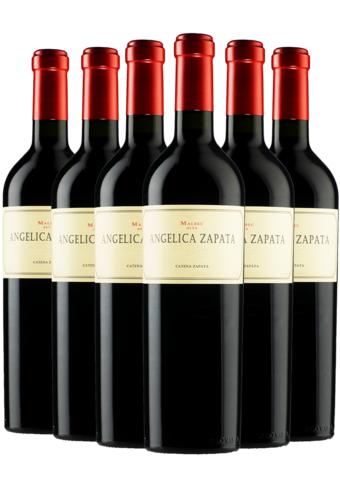 Angelica Zapata Malbec Alta 2021 6-pack-BP_476427