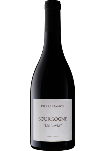 Domaine Pierre Damoy Bourgogne Rouge Les Ravry 2020-394605