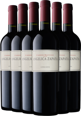 Angelica Zapata Cabernet Sauvignon Alta 2021 6-pack-BP_482867