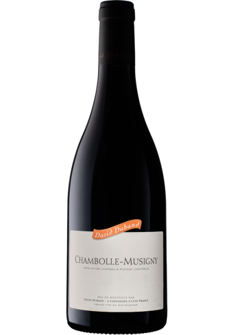 David Duband Chambolle Musigny 2022 -141679