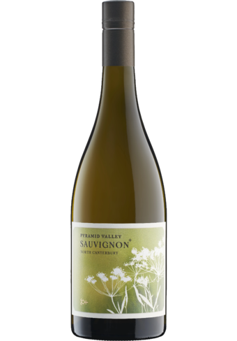 Pyramid Valley North Canterbury ''Sauvignon +'' 2023-342413