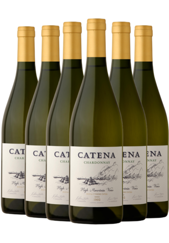 Catena Mendoza Chardonnay 2024 6-pack-BP_129848