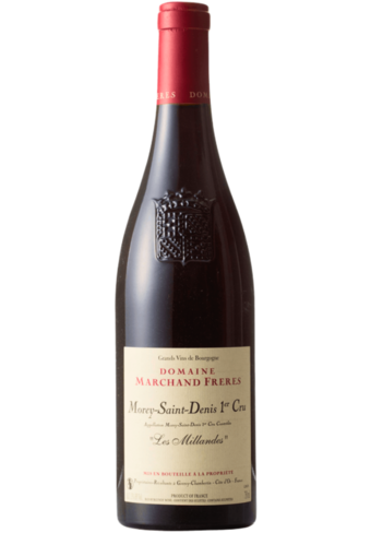 Domaine Marchand Freres Morey-Saint-Denis 1er Cru Les Millandes 2021-BP_117008