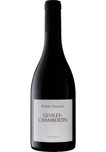 Domaine Pierre Damoy Gevrey Chambertin 2021-142517