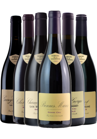 Domaine de la Vougeraie Mixed Case 2022 - 6 Bottle Pack-BP_406066