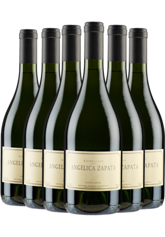 Angelica Zapata Chardonnay Alta 2023 6-pack-BP_152804