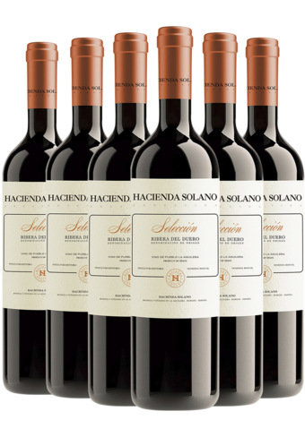 Hacienda Solano Seleccion 2023 - 6 Bottle Pack (Limited time offer item – other promotion offers and W Rewards are not applicable)-BP_129977