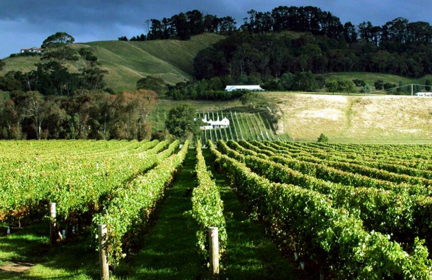 New Zealand