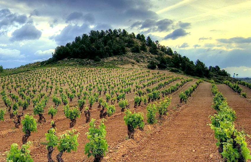 Spain